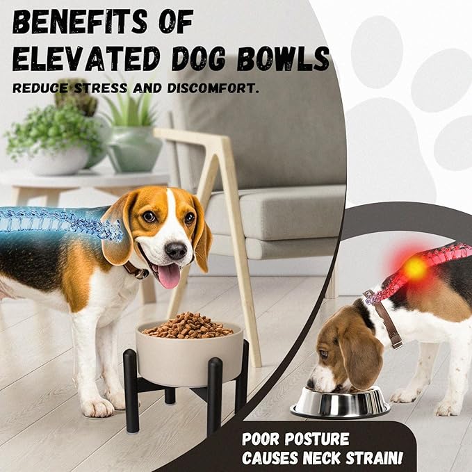 Raised Ceramic Dog Bowl, 6.1'' Modern Feeding Bowl - Image 5