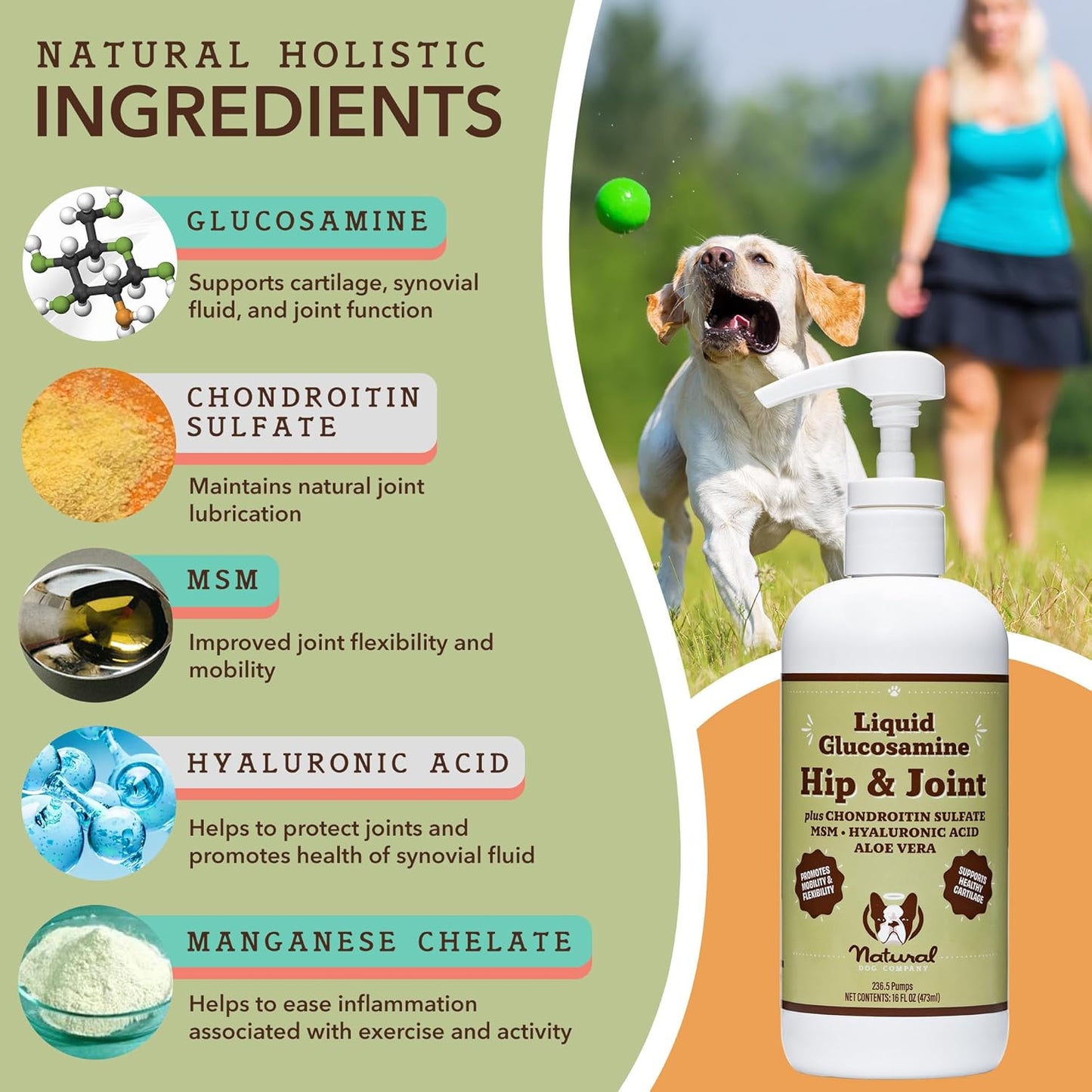 Natural Dog Company Healthy Joints, Skin and Coat Bundle for Dogs, Includes (1) Bottle Natural Dog Company Skin and Coat Oil, (1) Bottle Liquid Glucosamine, Food Topper, Dog's Fish Oil Supplement