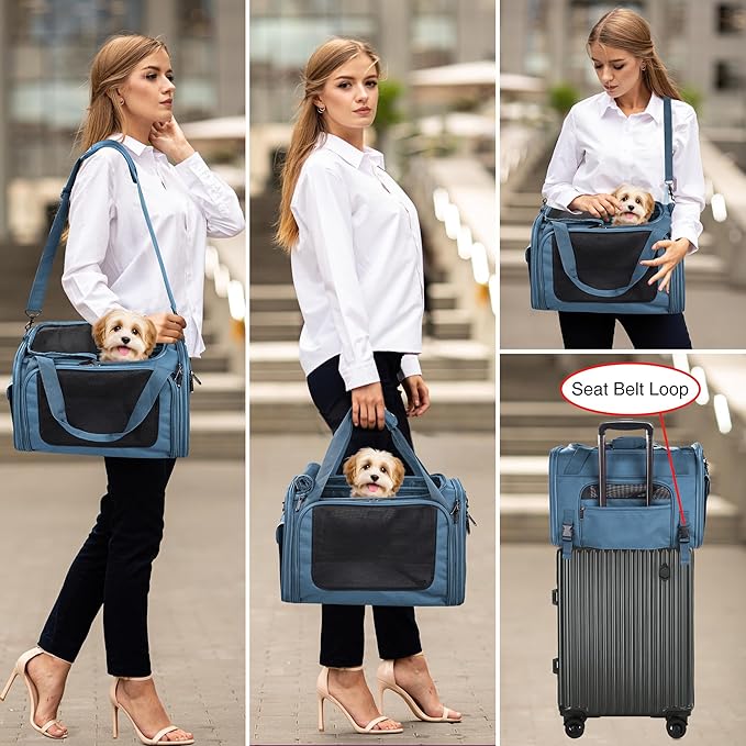 EliteField Deluxe Soft-Sided Pet Carrier, Travel Bag - Image 3