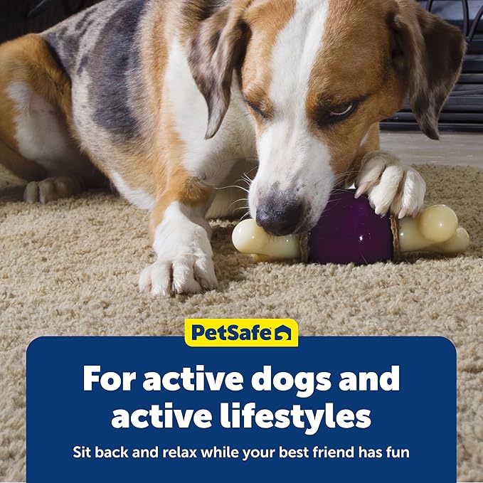 PetSafe Busy Buddy Bouncy Bone, Treat Holding Dog Toy - Image 6