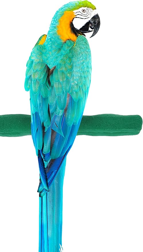 Sweet Feet and Beak Comfort Grip Safety Perch by SweetFeetBeak
