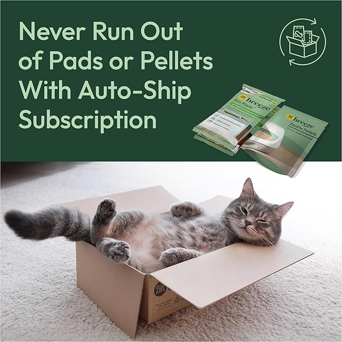 Purina Tidy Cats Litter System, Non-Clumping, Breeze XL All-in-One Odor Control - Image 11