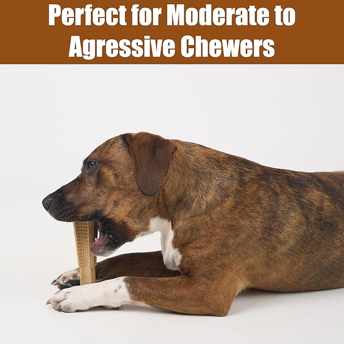 SPOT Bam-Bones Plus T-Bone Dog Chew Toy, Bamboo Fiber & Nylon, Chicken Flavor - Image 5
