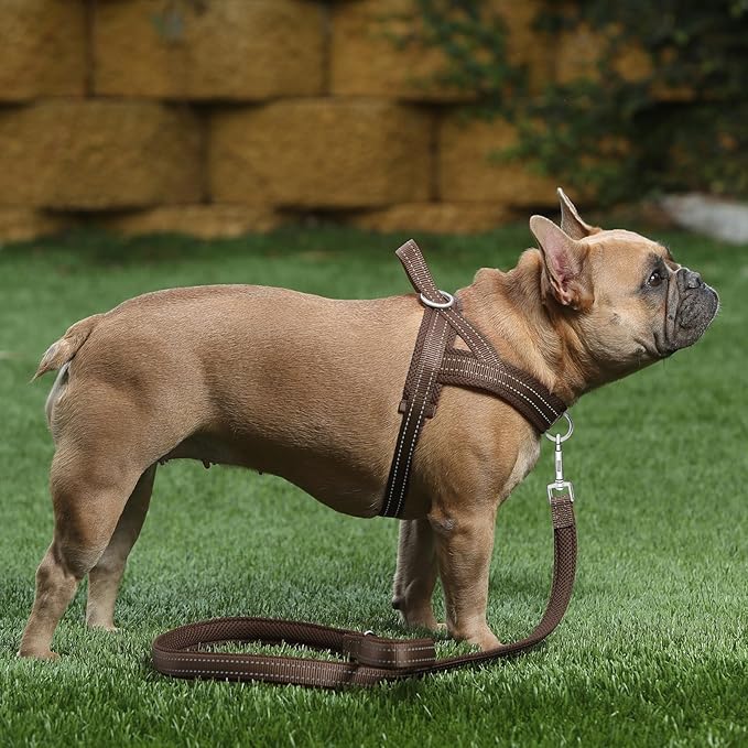 Plutus Pet No Pull Dog Harness - Image 5
