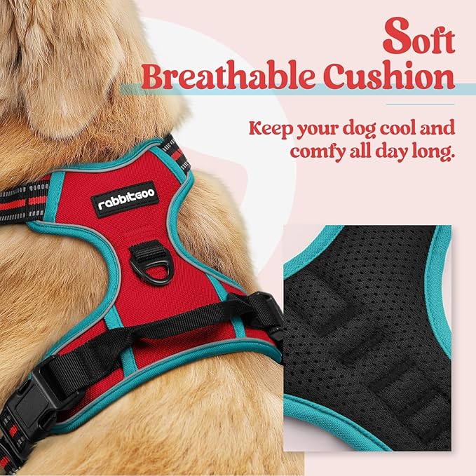 rabbitgoo Dog Harness No Pull - Image 2