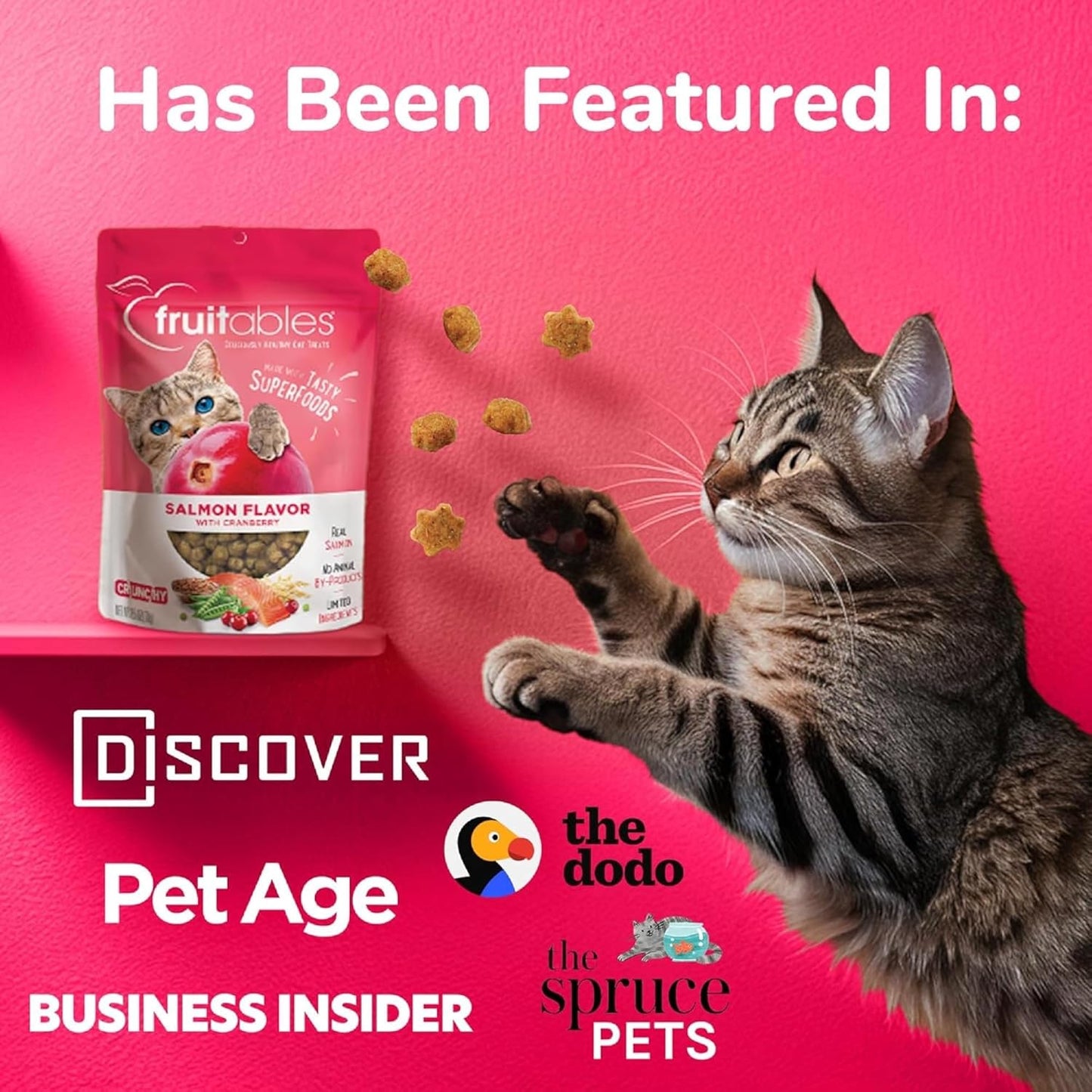 Fruitables Cat Crunchy Treats For Cats – Healthy Low Calorie Packed with Protein – No Wheat, Corn or Soy – Made with Real Salmon with Cranberry – 2.5 Ounces