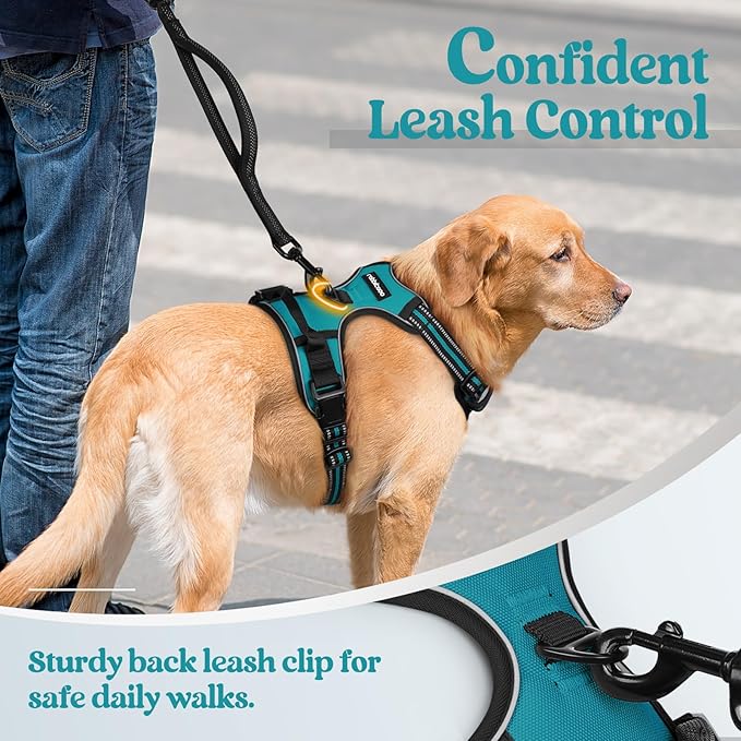 rabbitgoo Dog Harness No Pull - Image 6