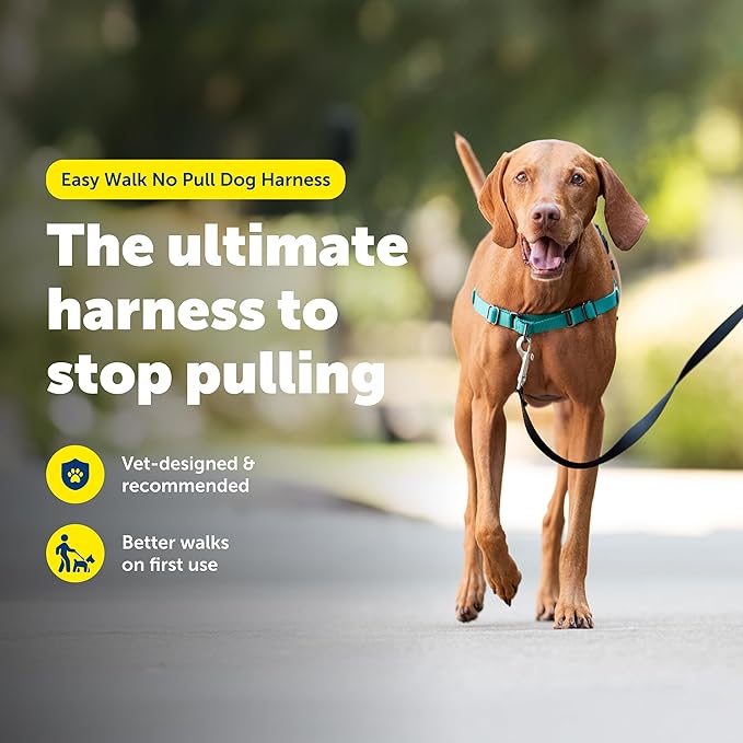 PetSafe Easy Walk No-Pull Dog Harness - Image 2