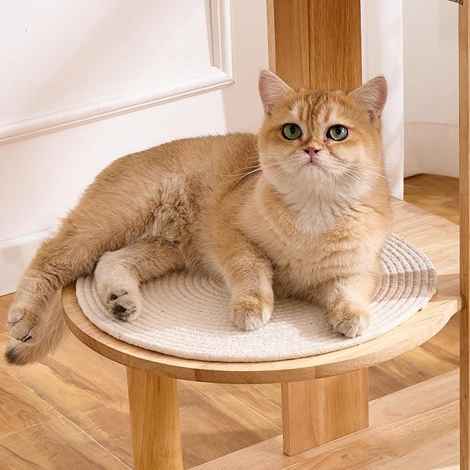 HITTITE Solid Wood Cat Tree Tower - Image 7