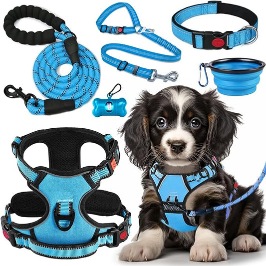 LOBEVE No Pull Dog Harness, Collar & Leash Set by Lovebegetslove