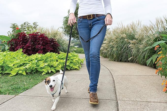 PetSafe 3 in 1 No-Pull Dog Harness - Image 2