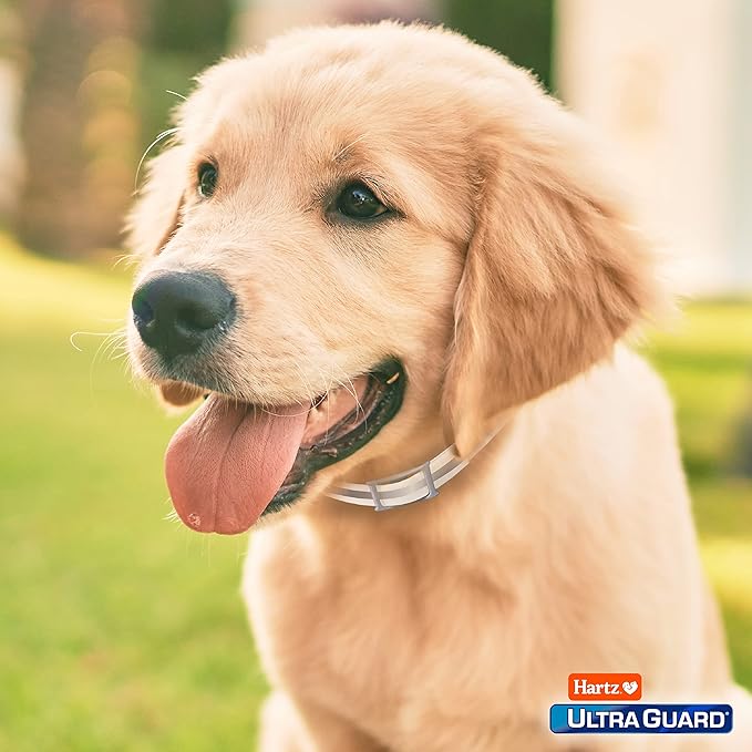 Hartz UltraGuard Pro Reflective Flea & Tick Collar - Image 8