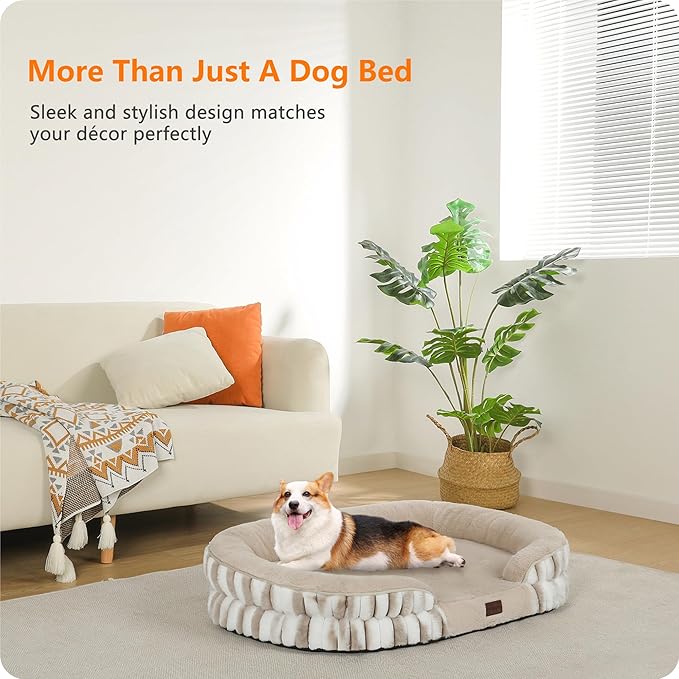 Dwanton Orthopedic Dog Bed for Medium Dogs - Image 2