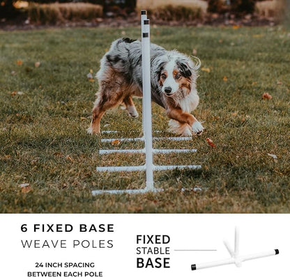 Better Sporting Dogs Agility Course Backyard Set - Image 6