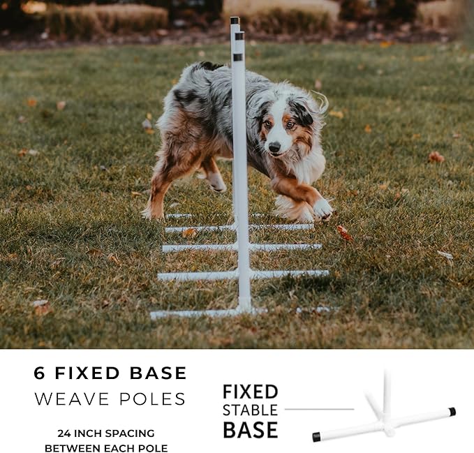 Better Sporting Dogs Elite Agility Set - Image 5