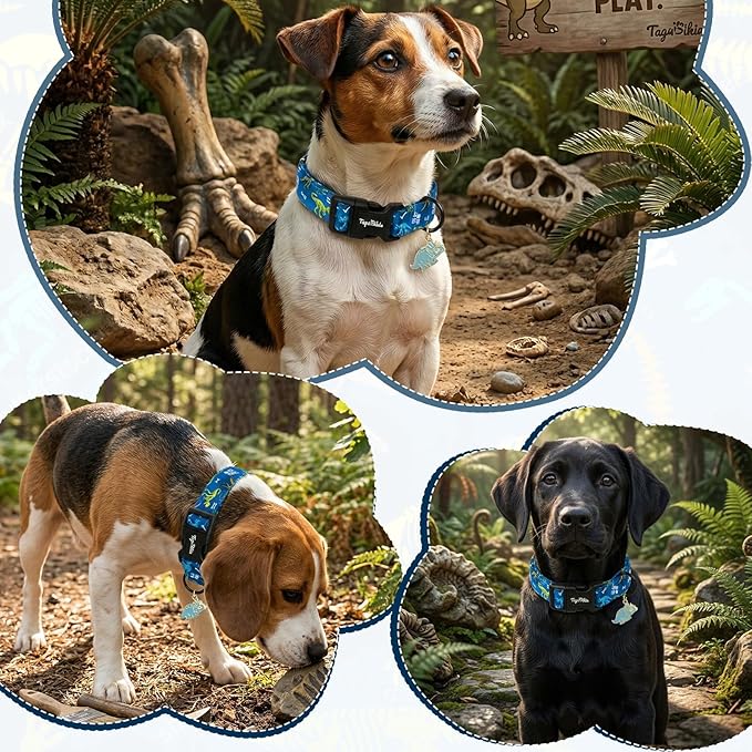 Dinosaur Dog Collar, Cute Boy Dog Collars - Image 6