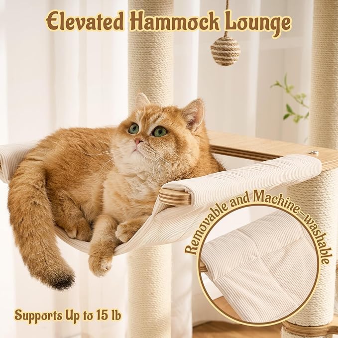 Modern Solid Wood Cat Tree for Indoor Cats Up to 15lbs, Large Cat Bed, Capsule - Image 5