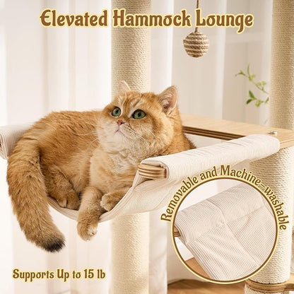 Modern Solid Wood Cat Tree for Indoor Cats Up to 15lbs, Large Cat Bed, Capsule - Image 5