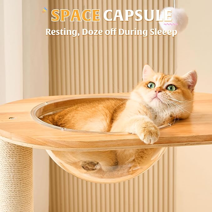 HITTITE Solid Wood Cat Tree Tower - Image 7
