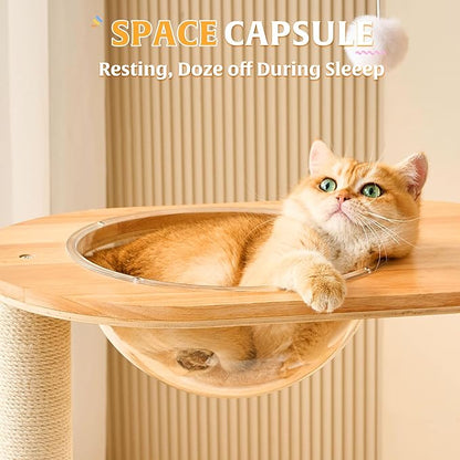 HITTITE Solid Wood Cat Tree Tower - Image 7