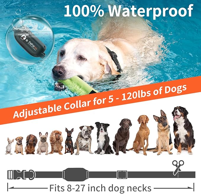 No Shock Dog Training Collar - Image 3