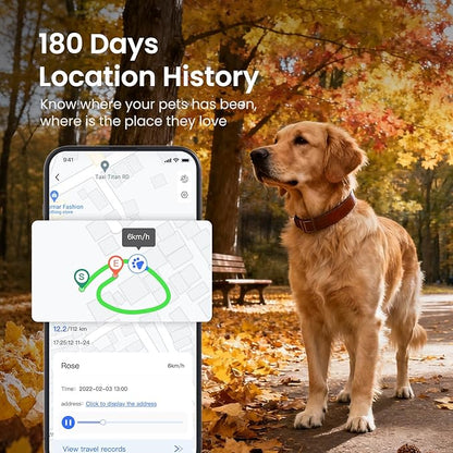 SEEWORLD 4G Pet GPS Tracker for Dogs Cats, Real-Time Location, IP67 Waterproof - Image 3