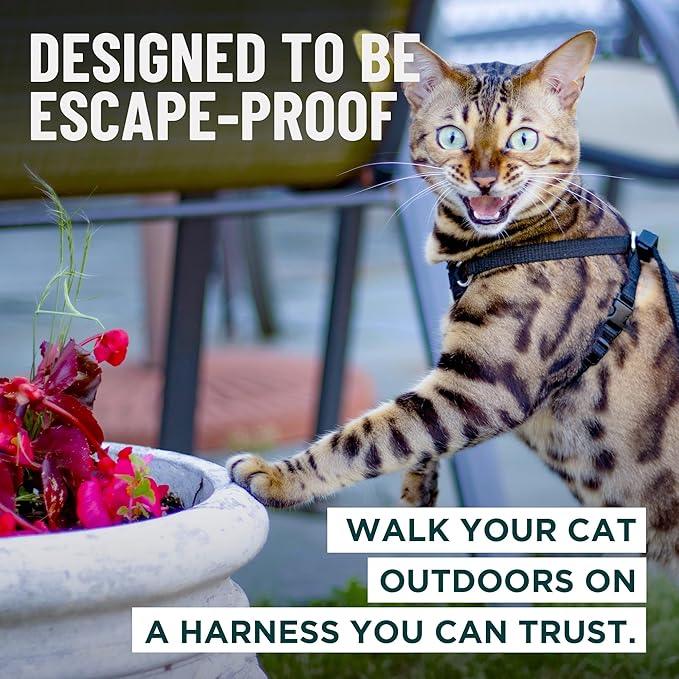 Houdini™ Escape Proof Cat Harness and Leash Set by OutdoorBengal – Red - Image 2