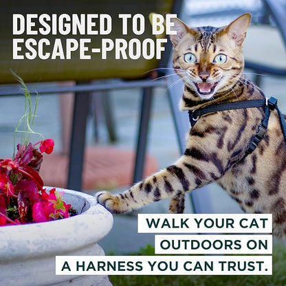 Houdini™ Escape Proof Cat Harness and Leash Set by OutdoorBengal – Turquoise - Image 2
