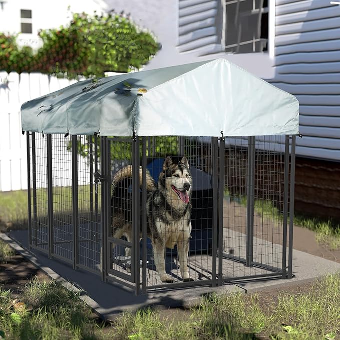 LEMBERI 8x4x4 Outside Dog Kennel - Image 3
