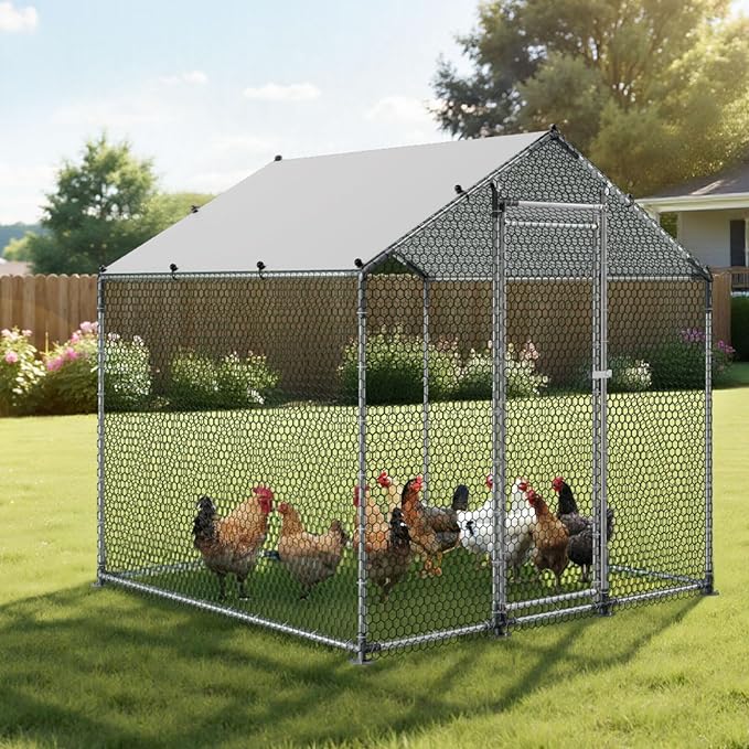 VEVOR Metal Chicken Coop, 6.56x6.56x6.56ft Large Walk-in Chicken Runs - Image 8