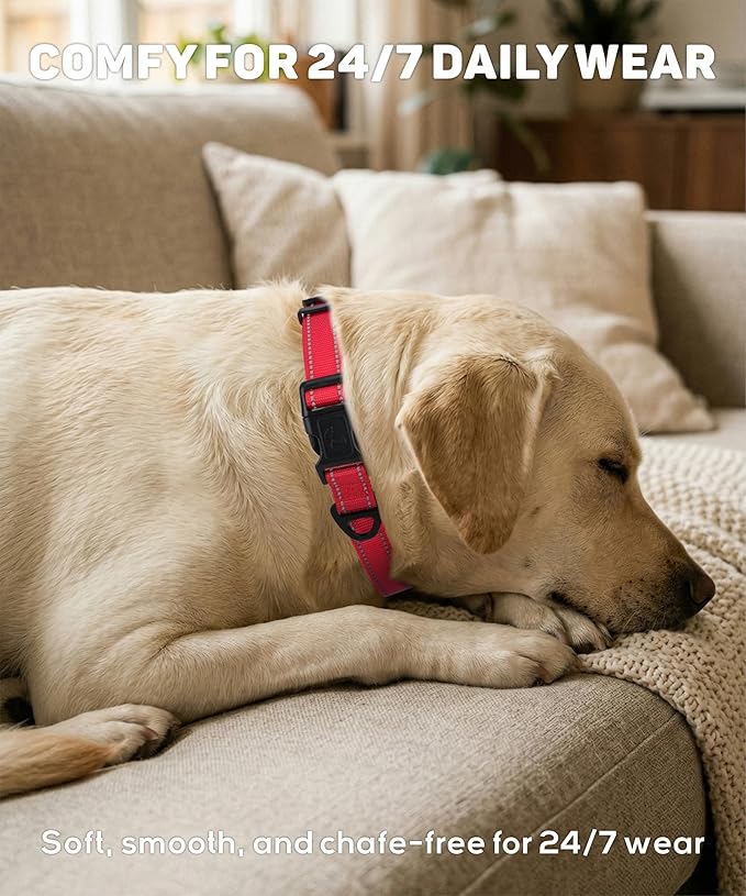 TagME Reflective Nylon Dog Collars, Adjustable Classic Pet Collar - Image 4