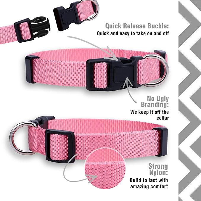 Native Pup Basic Nylon Dog Collar, Adjustable - Image 4