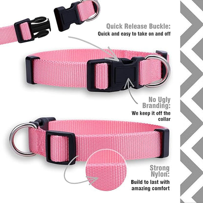 Native Pup Basic Nylon Dog Collar, Adjustable - Image 4