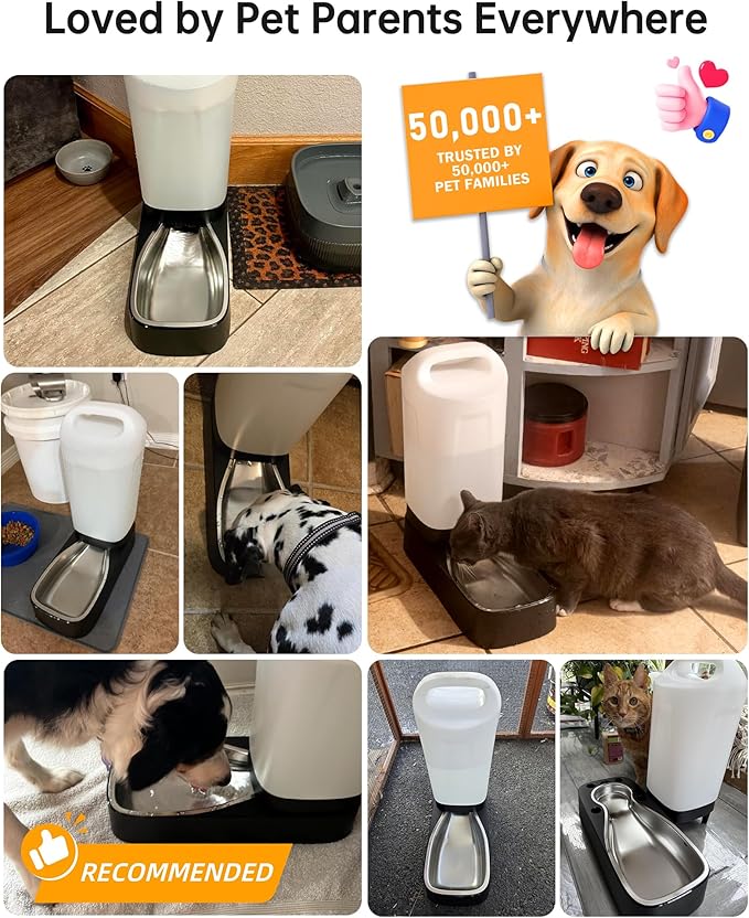 Automatic Dog Water Bowl Dispenser - Image 6