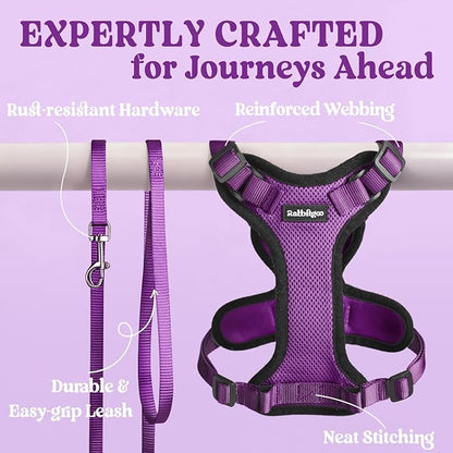rabbitgoo Cat Harness and Leash - Image 7