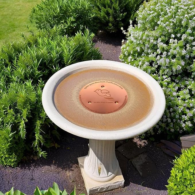 QIANQIANBird Bath Copper Disk, 0.6mm Reinforced 99.99% Pure Copper Cleaning Disk - Image 3