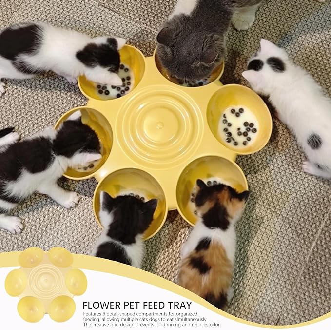 DOERDO Cat Feeding Bowl, Plastic Cat and Dog Food Bowl - Image 5