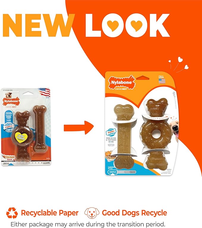 Nylabone Ring Bone & Teething Bone Puppy Chew Toy - Image 5