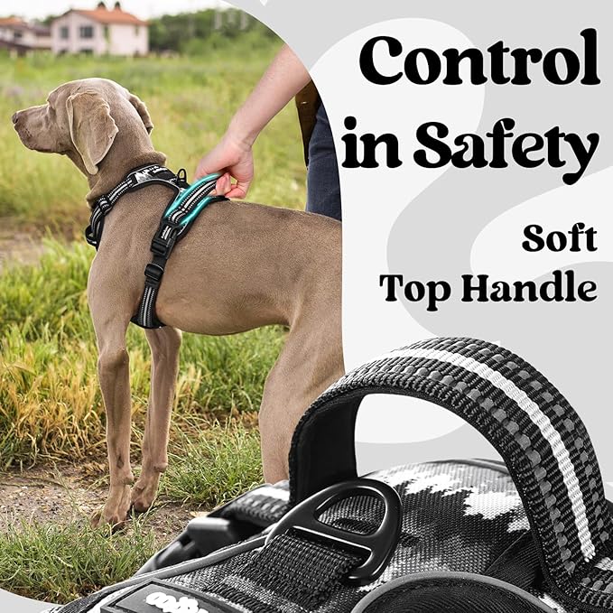 rabbitgoo Dog Harness Small Sized, No Pull Easy On & Off - Image 5