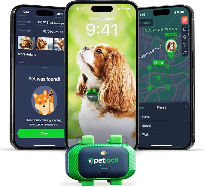 Petloc8 Dog GPS Tracker for Dogs, 4G LTE Real Time Tracking & Geo-Fence Alert by PetLoc8