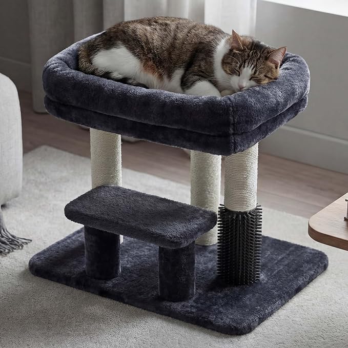 Heybly Cat Scratching Post, Small Cat Tree Tower by HEYBLY