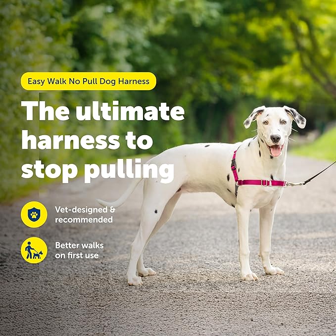 PetSafe Easy Walk No-Pull Dog Harness - Image 2