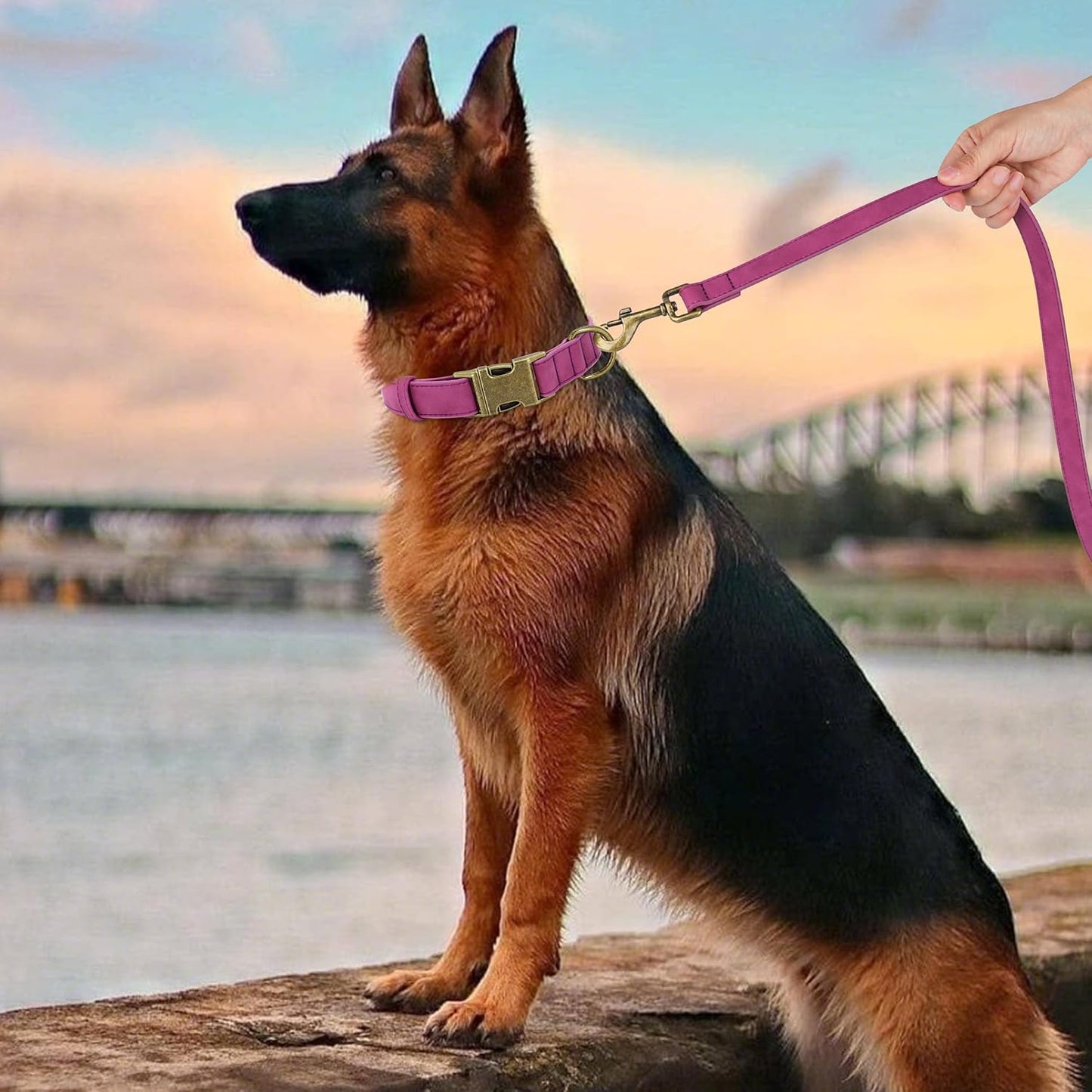 Didog Soft PU Leather Dog Collar, Stylish Quick Released Dog Collar for Large Dogs, Easy Clean Adjustable Pet Collar for Daily Walking, Purple, L Fit 15-23" Neck