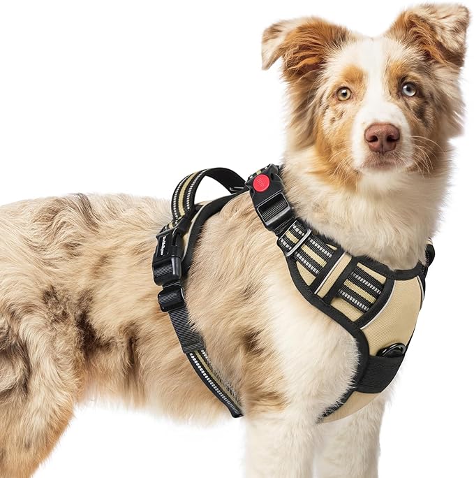 rabbitgoo Dog Harness Medium Sized, No Pull Easy On & Off by rabbitgoo