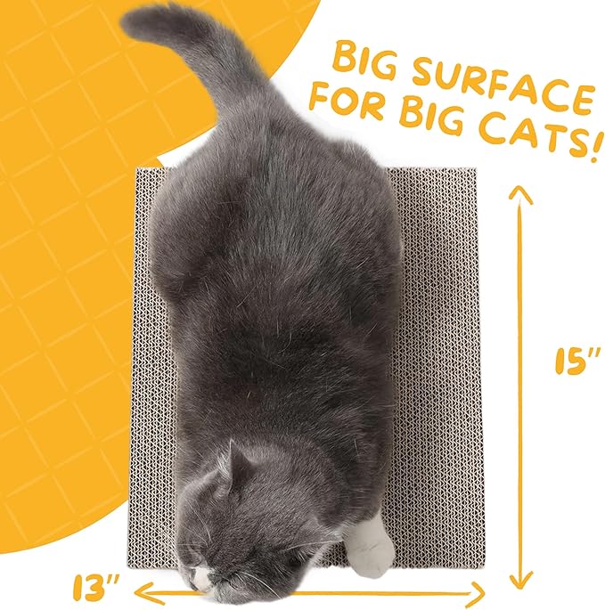 Hide & Scratch Cat Scratcher Pad – 2 Pack | Double-Sided Cardboard Refills - Image 6