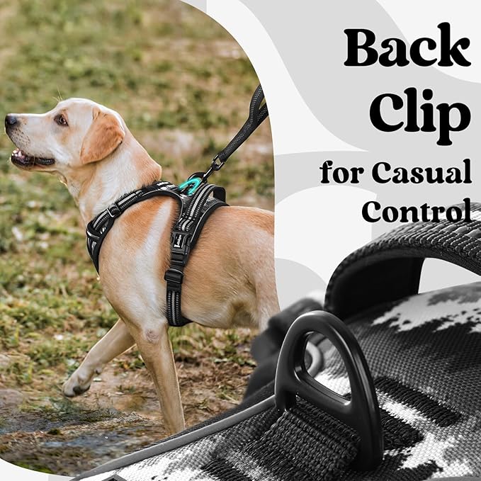 rabbitgoo Dog Harness Small Sized, No Pull Easy On & Off - Image 7
