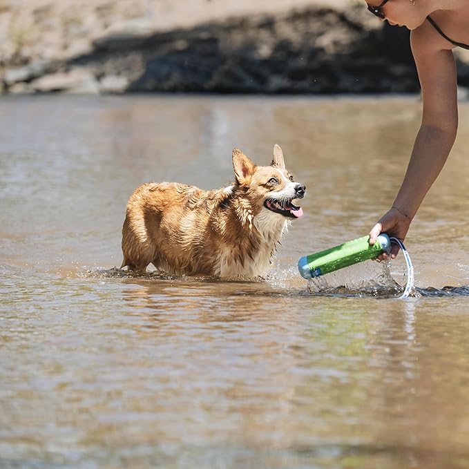 Chuckit! Amphibious Bumper Floating Fetch Dog Toy - Image 9