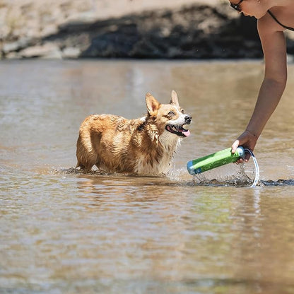 Chuckit! Amphibious Bumper Floating Fetch Dog Toy - Image 9