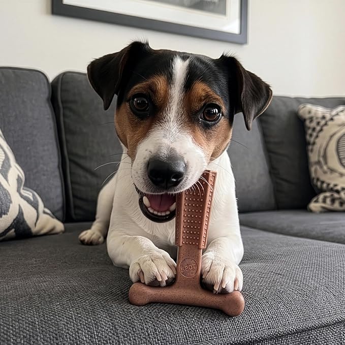SPOT Bam-Bones Plus T Bone – Bamboo Fiber & Nylon Dog Chew Toy - Image 9