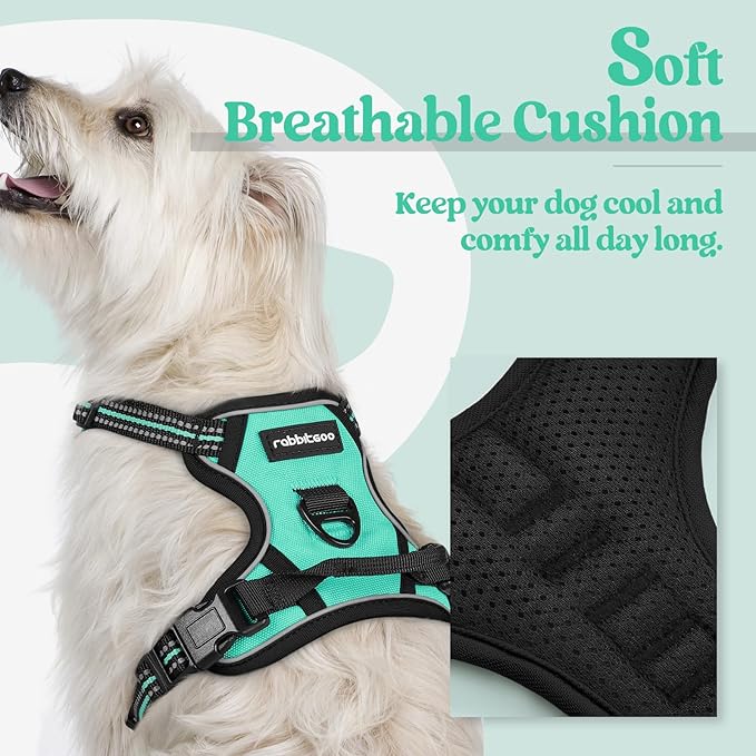 rabbitgoo Dog Harness No Pull - Image 2